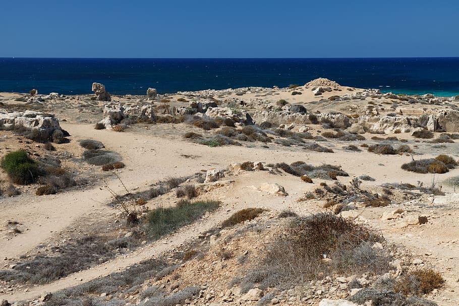 Beach, Coast, Desert, Dry, Grass, landscape, nature, ocean HD wallpaper