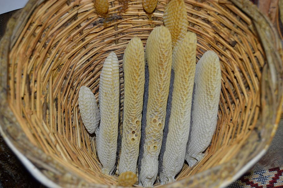 natural, babu, basket, pattern, container, close-up, no people HD wallpaper