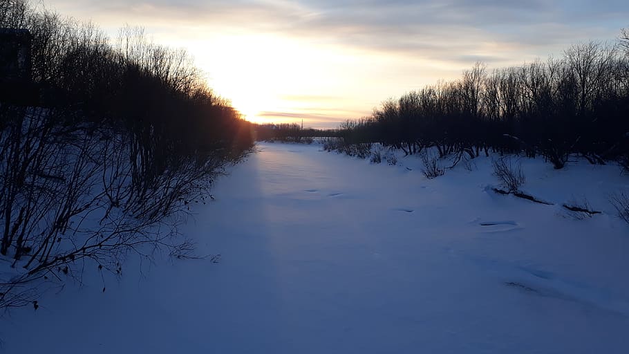 river, sunset, winters, sky, tree, plant, cold temperature HD wallpaper