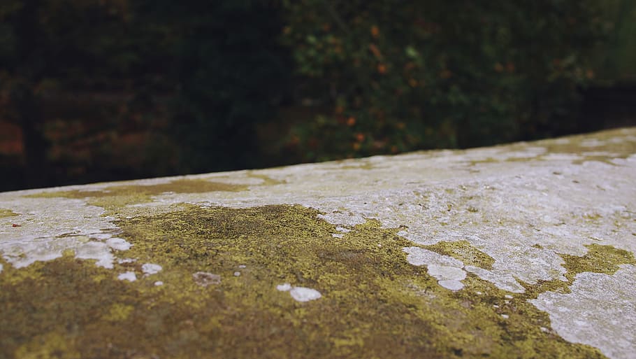 black, gray, green, moss, rocks, stones, nature, outdoors, water HD wallpaper