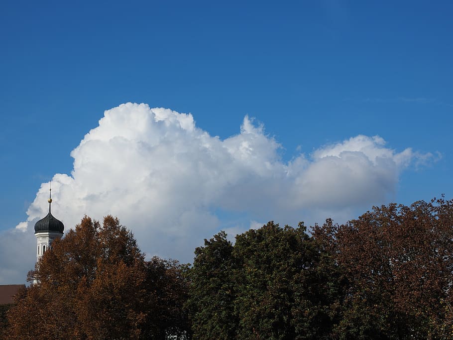 cloud, sky, cumulus clouds, white, blue, tree, plant, cloud - sky HD wallpaper