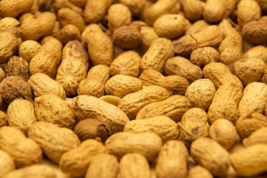 peanut, peanuts, dried fruit, doré, food, eat, picture, food and drink, HD wallpaper