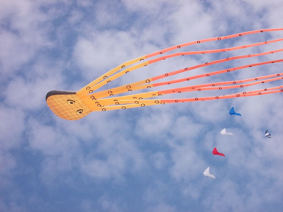kite, wind, bray-dunes, beach, sky, colors, octopus, blue, orange HD wallpaper