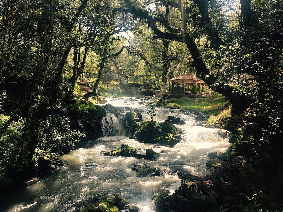 River, Nature, Landscape, waterfall, tree, forest, stream, scenics HD wallpaper