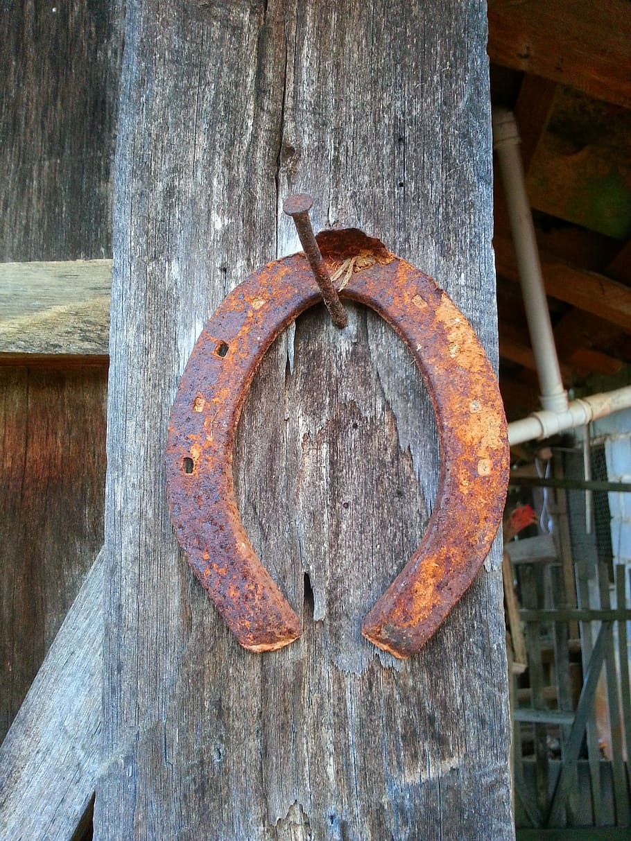 Luck, Horseshoe, Amulet, Rust, rusty, wood, post, nail, preached