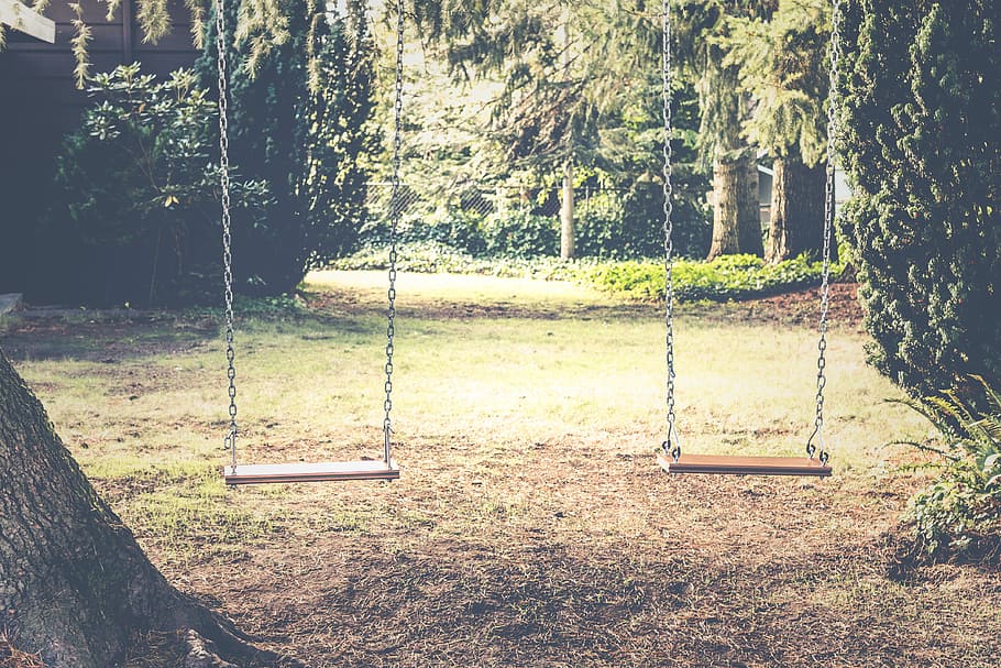 photograph of empty swings between trees, photo of swing, swingset