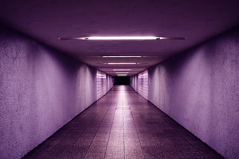 lighted hallway, Lost in the infinite.., underpass, tunnel, purple HD wallpaper