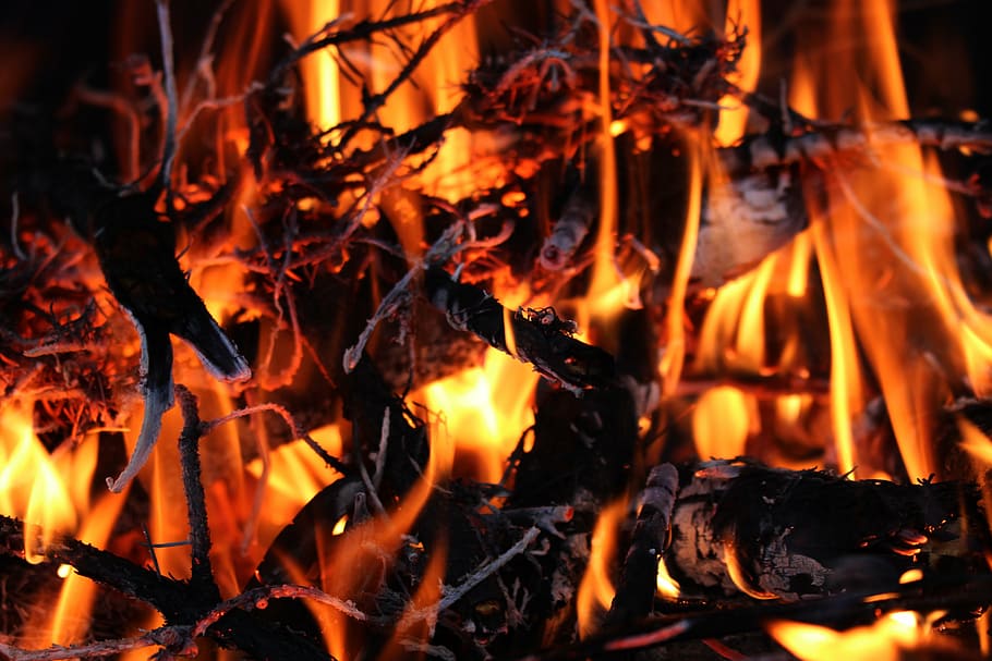 flames, fire, burning, wood, baking, toasting, fireplace, ash HD wallpaper