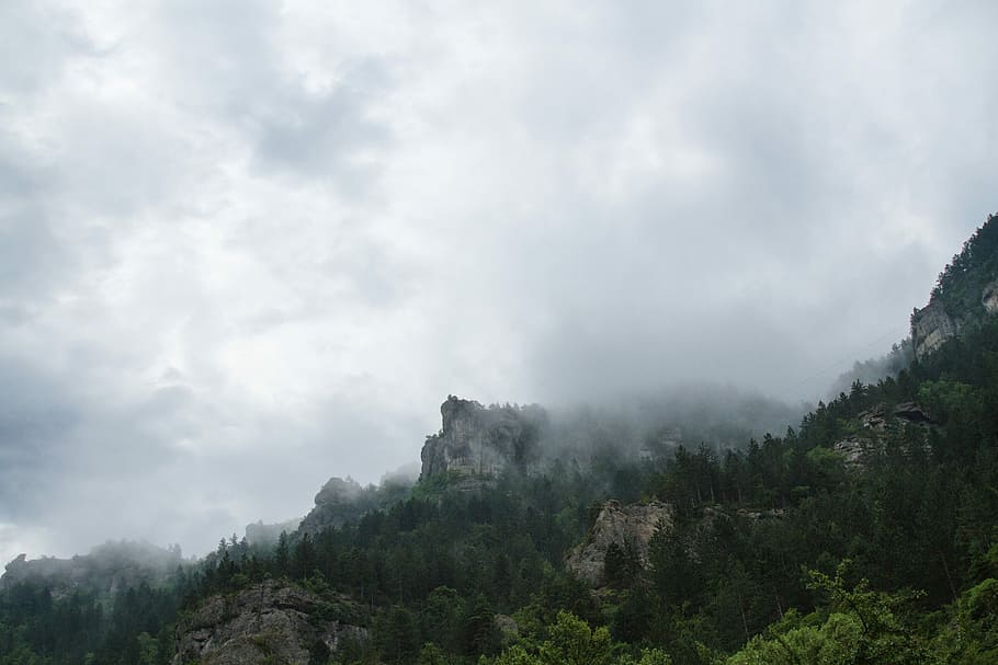 grass-covered foggy mountain, mountains with trees under cloudy skies HD wallpaper