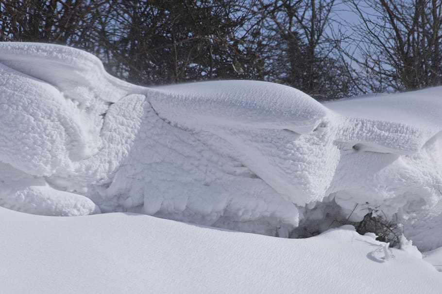 Winter, Snow, Snowdrift, nature, cold - Temperature, white HD wallpaper