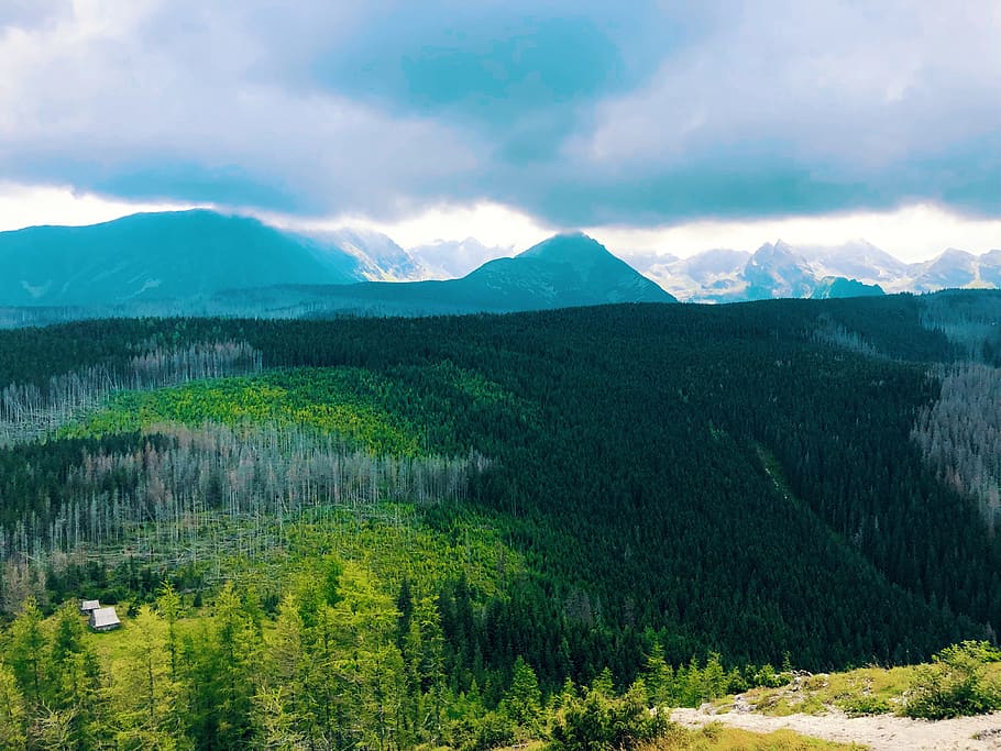 tatry, zakopane, góry, karpaty, las, chmury, niebo, dolina, HD wallpaper