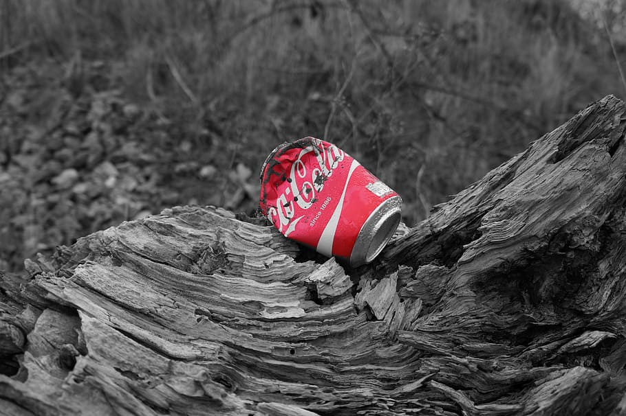 selective color of Coca-Cola can, Coca Cola, Garbage, Natural HD wallpaper