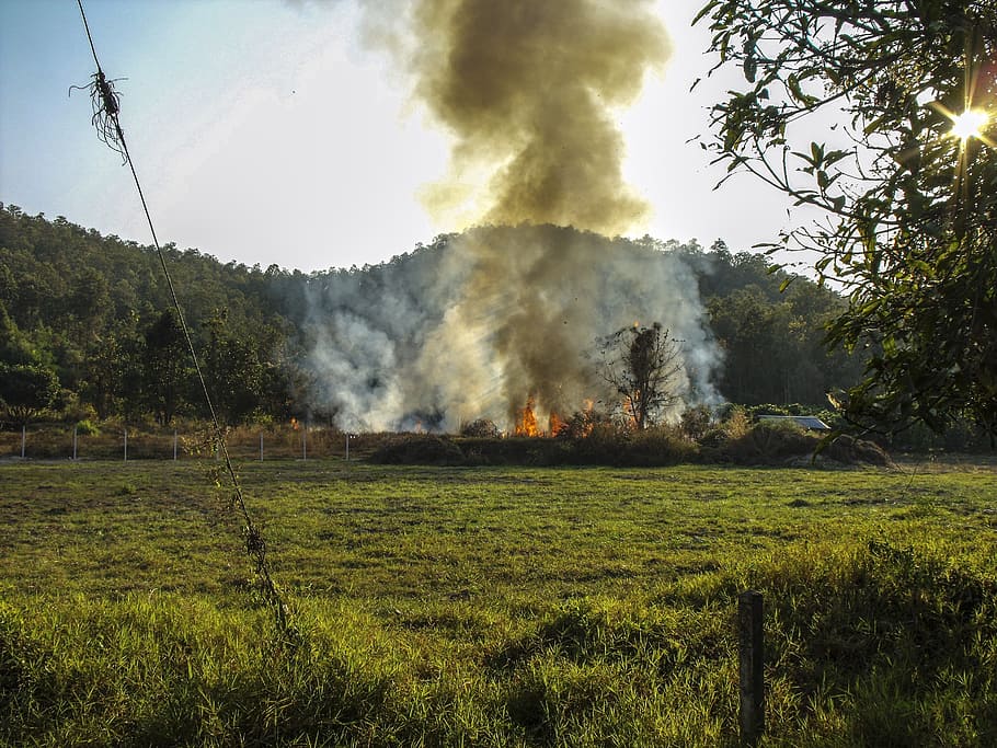 grass field on fire, smoke, environmental dirt, pollution, environmental protection HD wallpaper