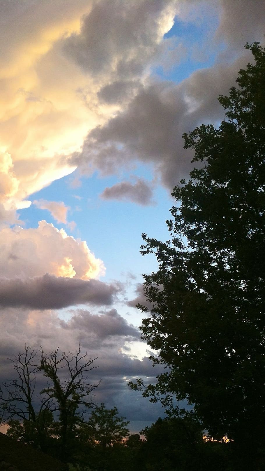 clouds, tree, sky, nature, cloud - Sky, cloudscape, sunset HD wallpaper