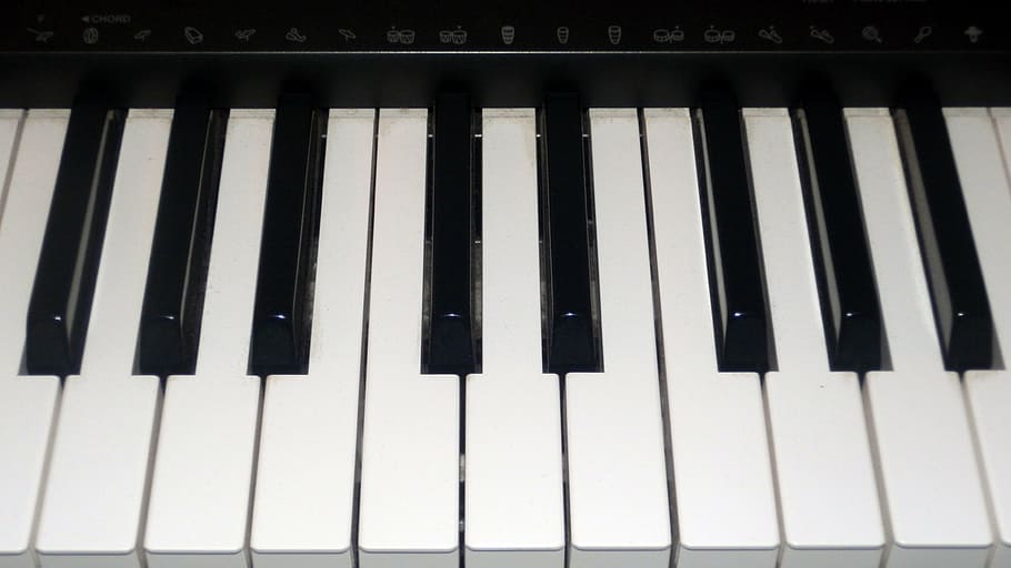 black and white piano keyboard, keys, electronics, musical instrument HD wallpaper