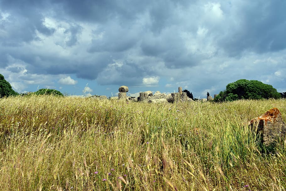 grass field near trees, temple, columnar, antique, ruin, destroyed HD wallpaper
