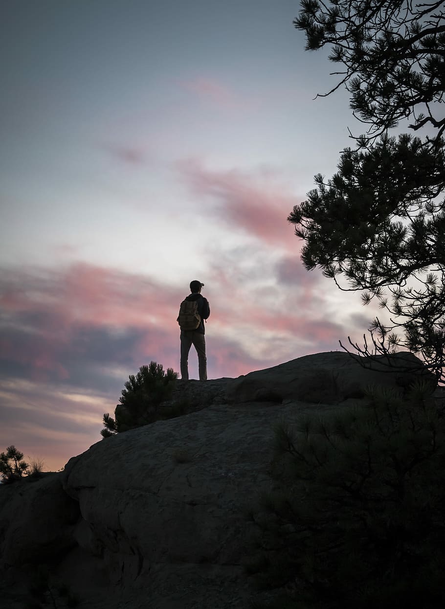 man standing on mountain near trees, man standing on top of gray boulder HD wallpaper