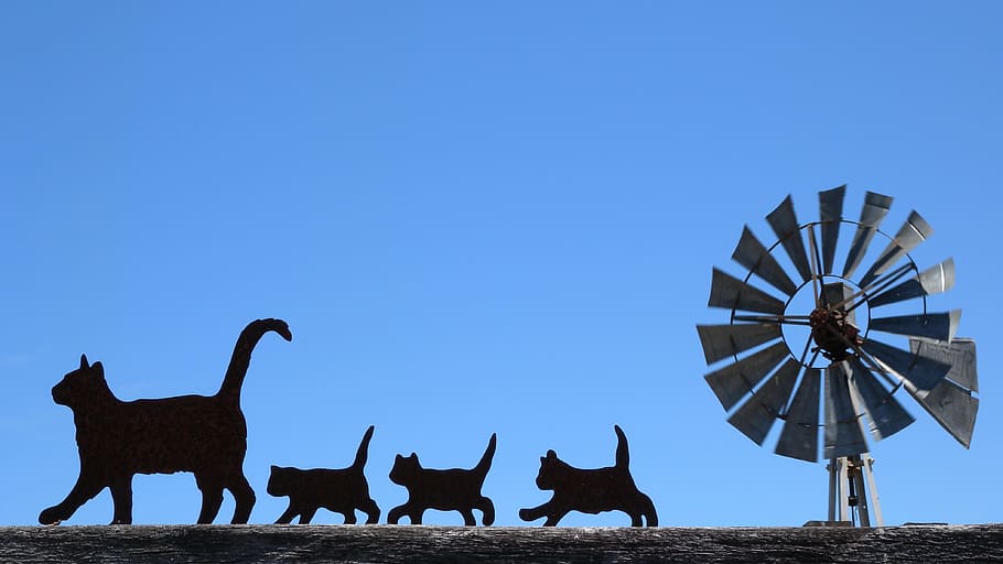 gray windmill with silhouette of cats, silhouettes, photos, black, HD wallpaper