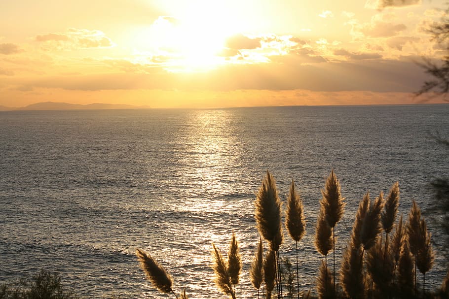 sun, sunset, feather duster, sea, france, light, sky, water HD wallpaper