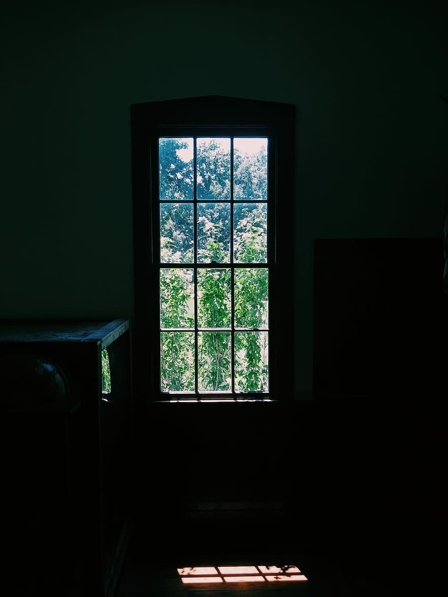 Light, Window, Bushes, Sunlight, Glass, bright, indoor, comfortable HD wallpaper