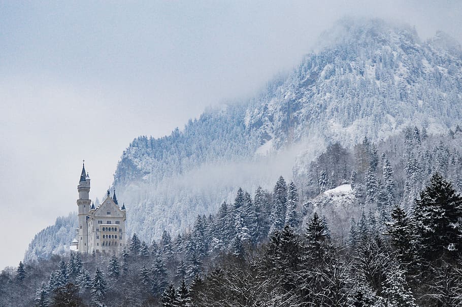 gray castle in the middle of forest, cloudy sky above castle surrounded by trees under hill at daytime HD wallpaper
