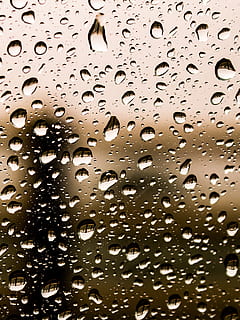 selective focus photography of water drops, water droplets HD wallpaper