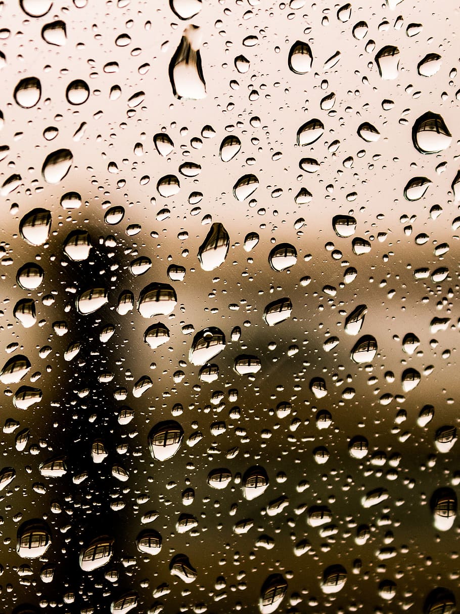 selective focus photography of water drops, water droplets HD wallpaper
