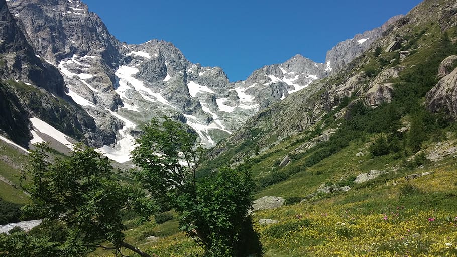 mountains, landscape, alps, plant, beauty in nature, scenics - nature HD wallpaper