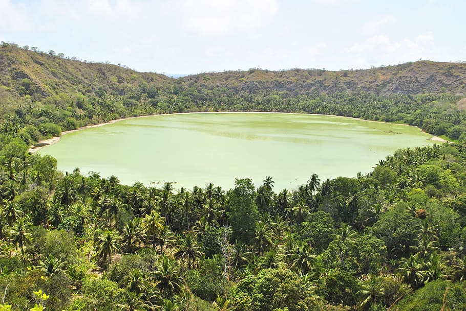 mayotte, indian ocean, dziani lake, landscape, tree, green color, HD wallpaper