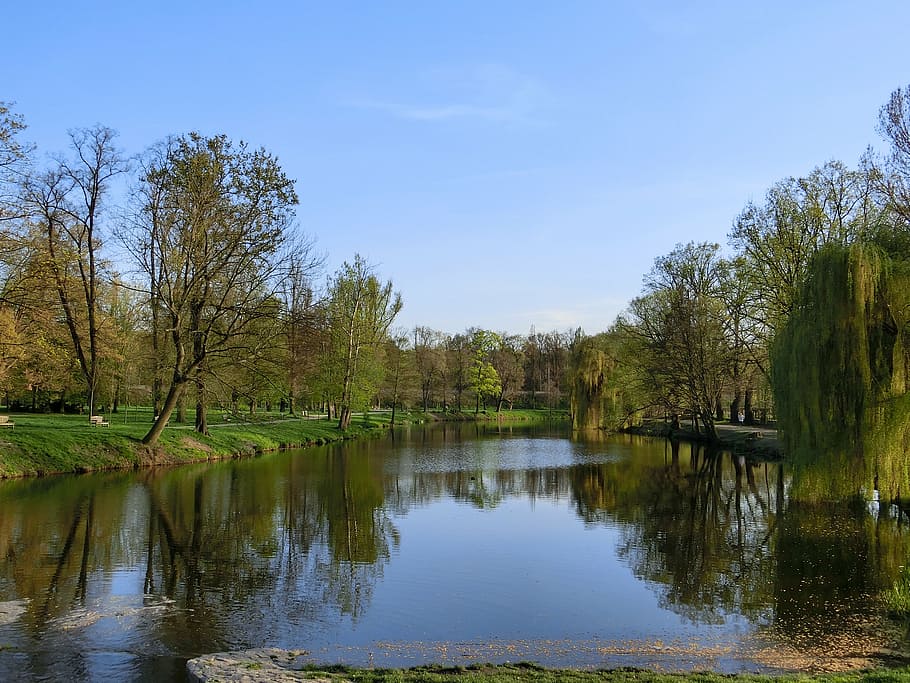 landscape, water, sky, trees, pond, lake, reflection, plant HD wallpaper