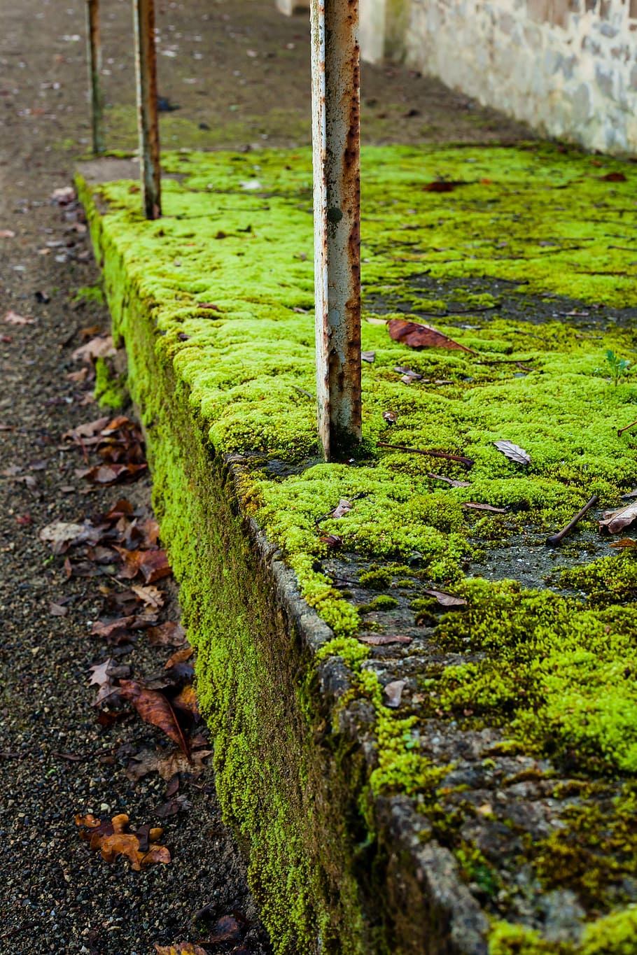 Ramp, Moss, Green, Stainless, Railing, concrete, city, urban HD wallpaper