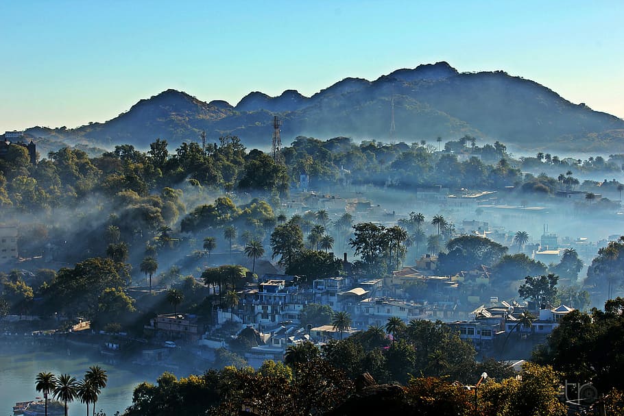 bird's-eye view photography of mountains and forest, aerial photography of buildings in middle of forest HD wallpaper