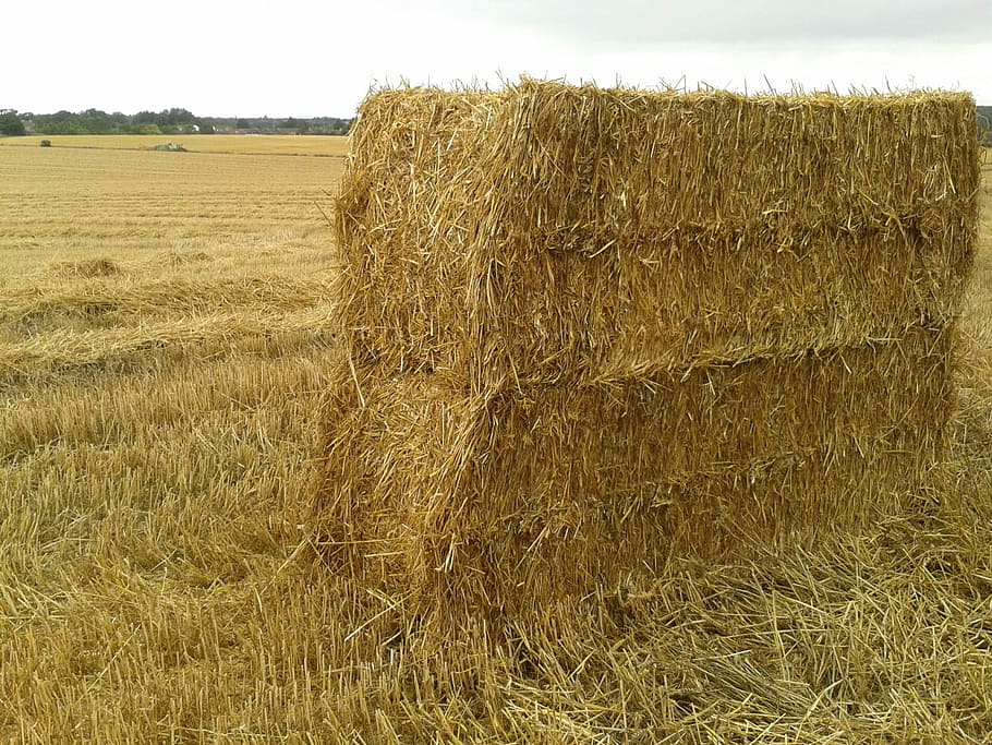 Harvest, Haystack, Fall, Wheat, field, farm, autumn, agriculture HD wallpaper