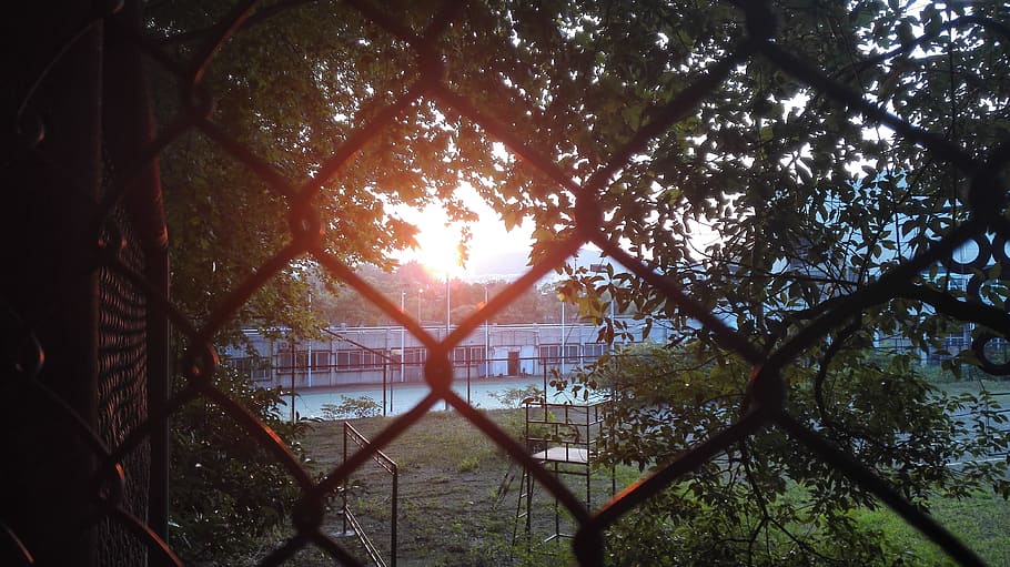 Evening, Backlighting, Lll, chainlink fence, no people, day HD wallpaper