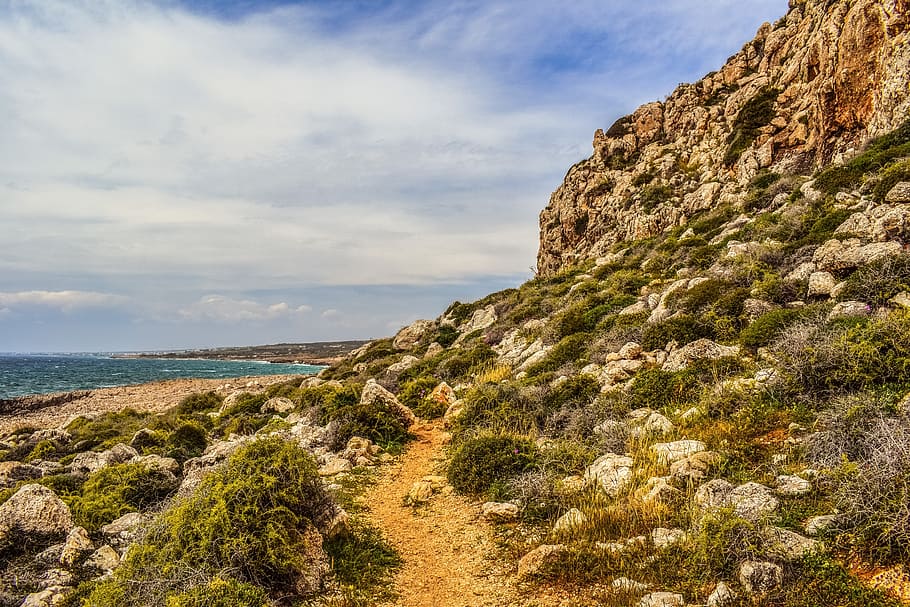Path, Wilderness, Landscape, Scenery, nature, coast, national park HD wallpaper