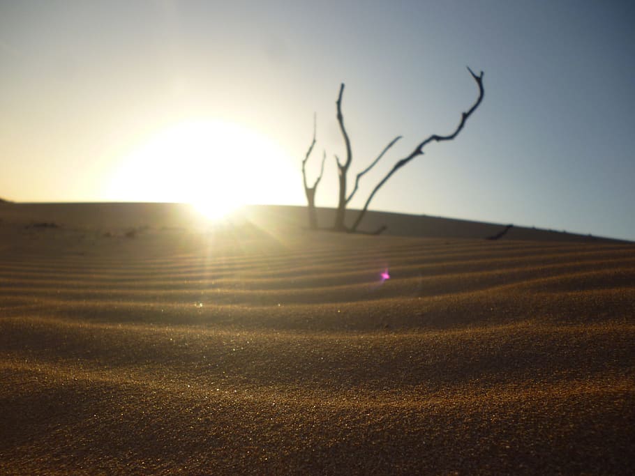 sand, dry so, sun, desert, calm, rocks, arid landscape, panoramic HD wallpaper