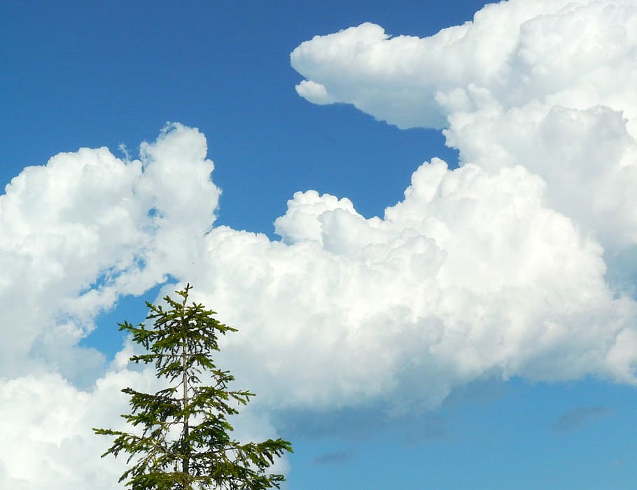 cloud, sky, blue, clouds form, nature, summer, outdoors, cloud - Sky HD wallpaper