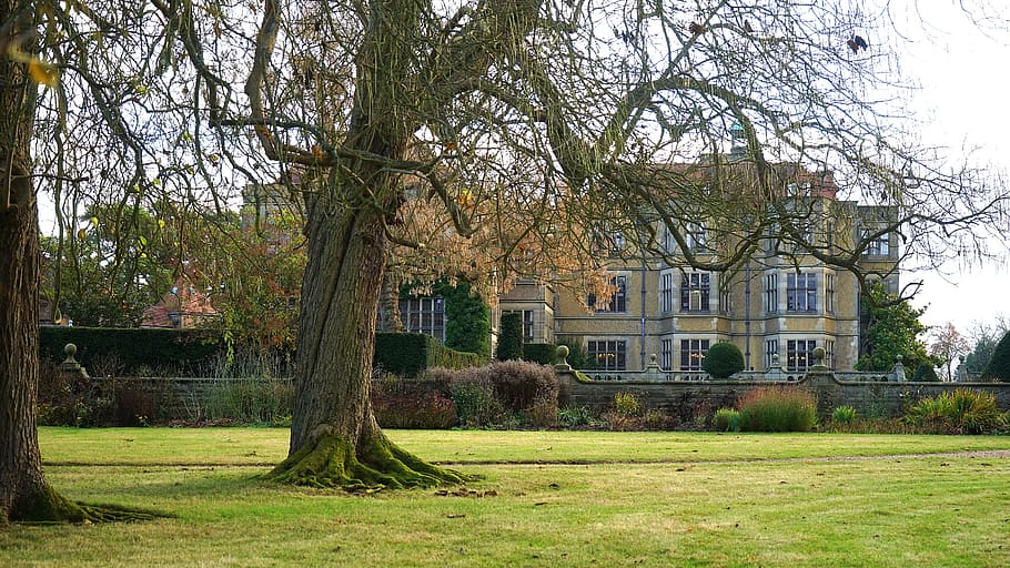 building, grass, lawn, architecture, mansion, tree, windows, plant HD wallpaper