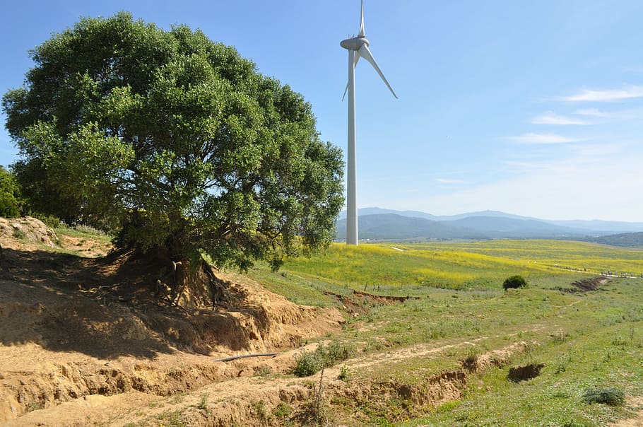 landscape, windmill, sky, ecological, renewable energy, ecology HD wallpaper