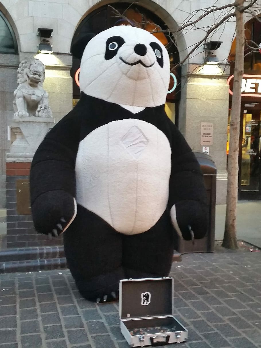 Panda, Giant, Begging, China Town, humor, business, no people HD wallpaper
