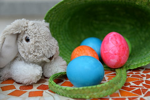 rabbit plush toy beside eggs in basket, easter bunny, colorful HD wallpaper