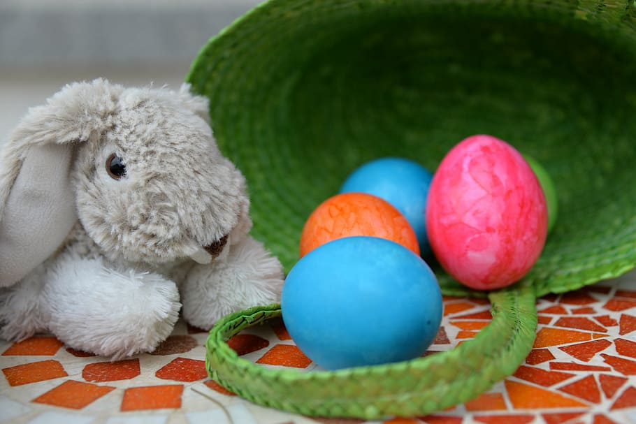rabbit plush toy beside eggs in basket, easter bunny, colorful HD wallpaper