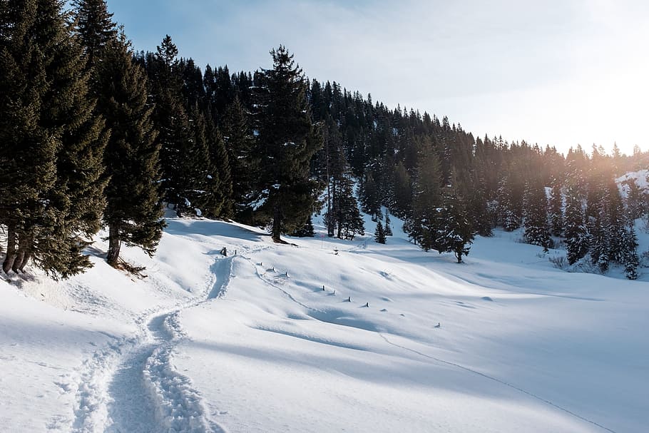 cold, hill, landscape, mountain, nature, outdoors, scenic, snow HD wallpaper