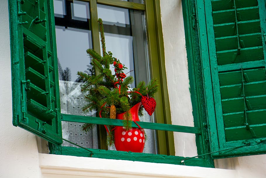 artificial red petaled flower with red vase on window, shutters HD wallpaper