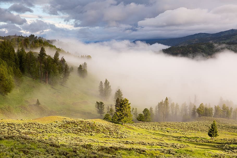 foggy mountain during day time, sky, rocks, hiking, camping HD wallpaper