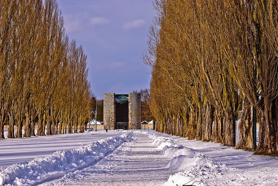 pathway covered with snow, kz, memorial, dachau, history, konzentrationslager, HD wallpaper