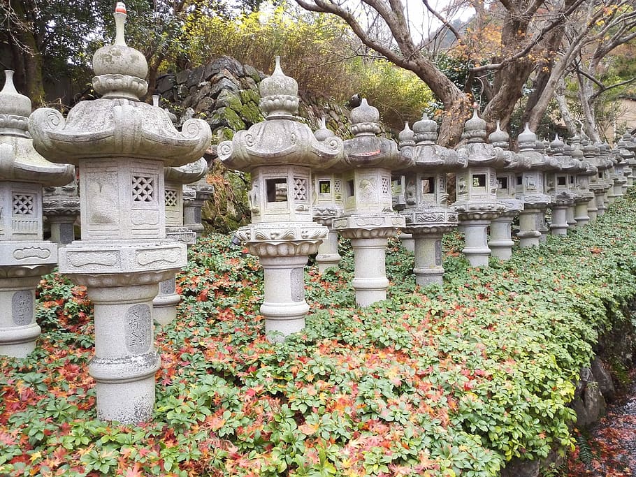 Lantern, Temple, Landscape, Autumn, tree, outdoors, day, nature HD wallpaper