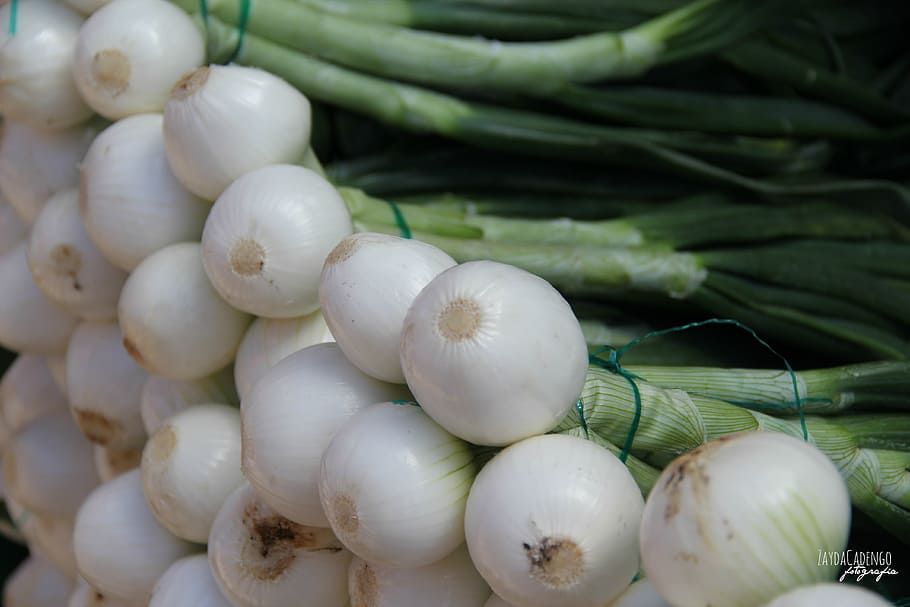 onions, vegetable, green, white, nature, power, healthy, freshness HD wallpaper