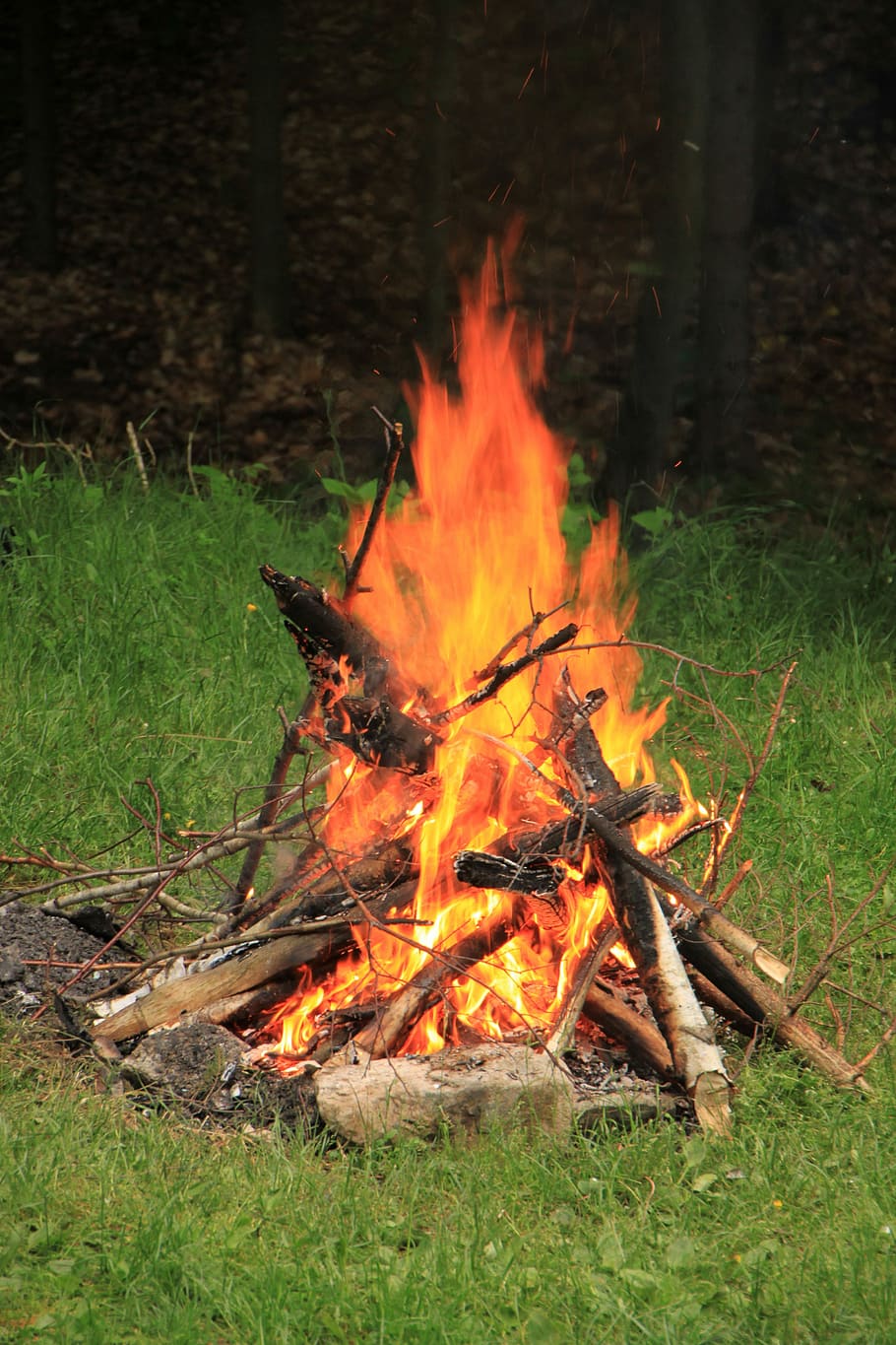 Campfire, Celebration, Fire, Party, red, wood, nature, travel HD wallpaper