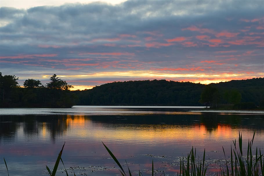 lake, sunset, park, forest, water, sky, nature, landscape, summer HD wallpaper